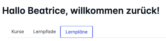 learning journeys translated in de.png