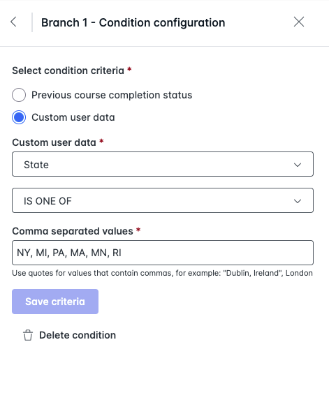 custom user data entering strings with commas.png