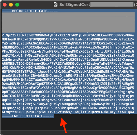 self_signed_cert_sample.png